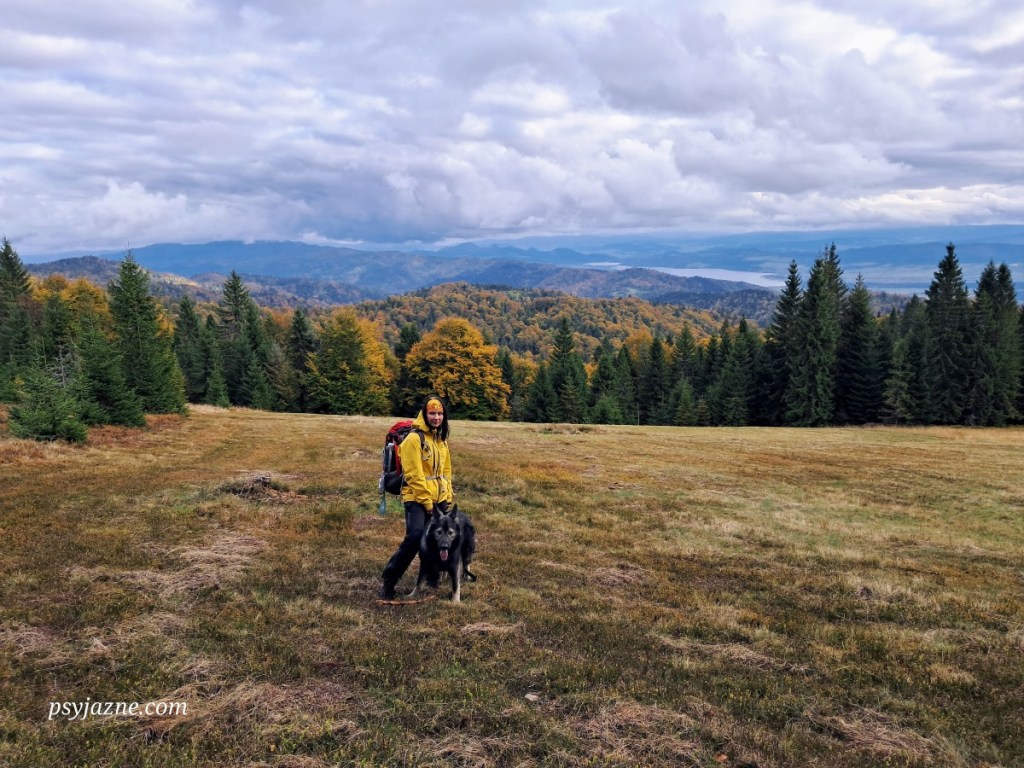 Gorce Polana Zielenica