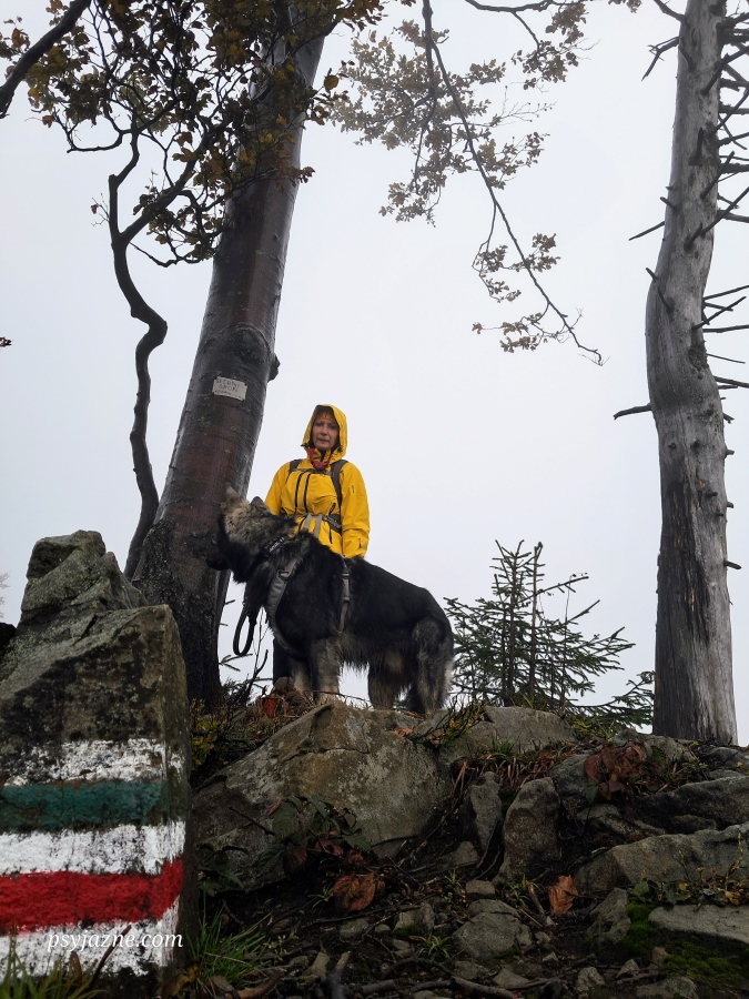 Średni Groń - wschodni wierzchołek Lubania