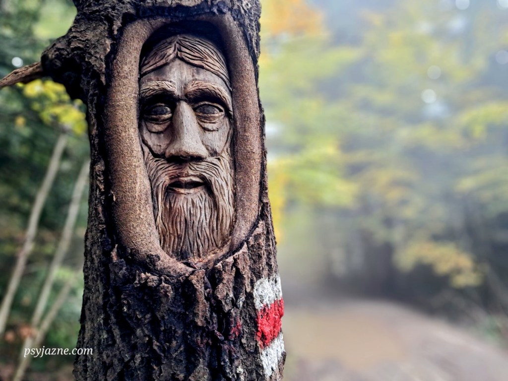 relief wykonany na drzewie, Gorce