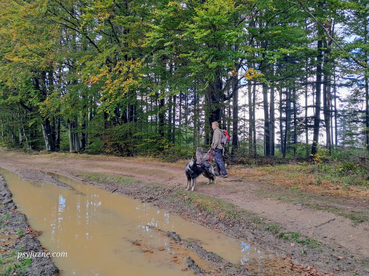 widok na Jałowiec