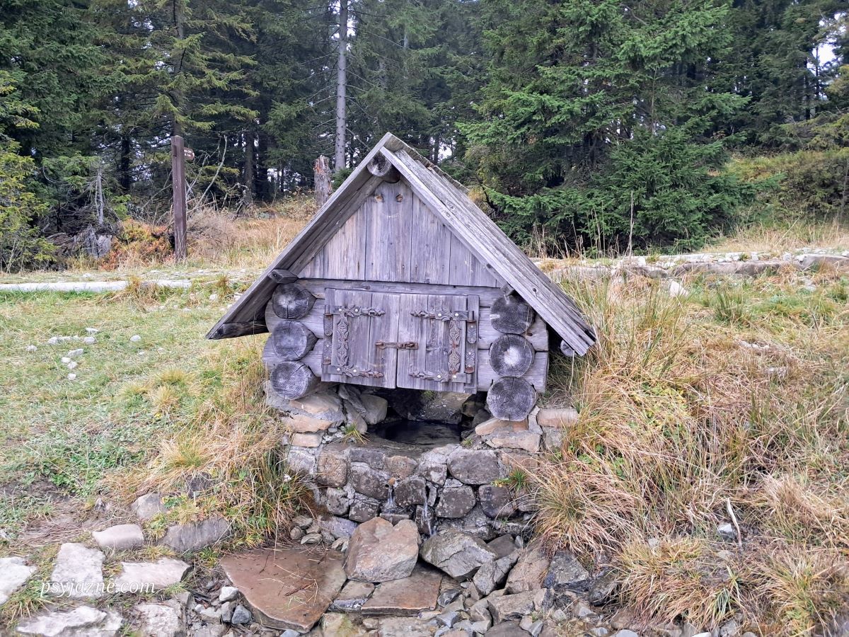 Źródełko Miłości na Hali Długiej, Gorce