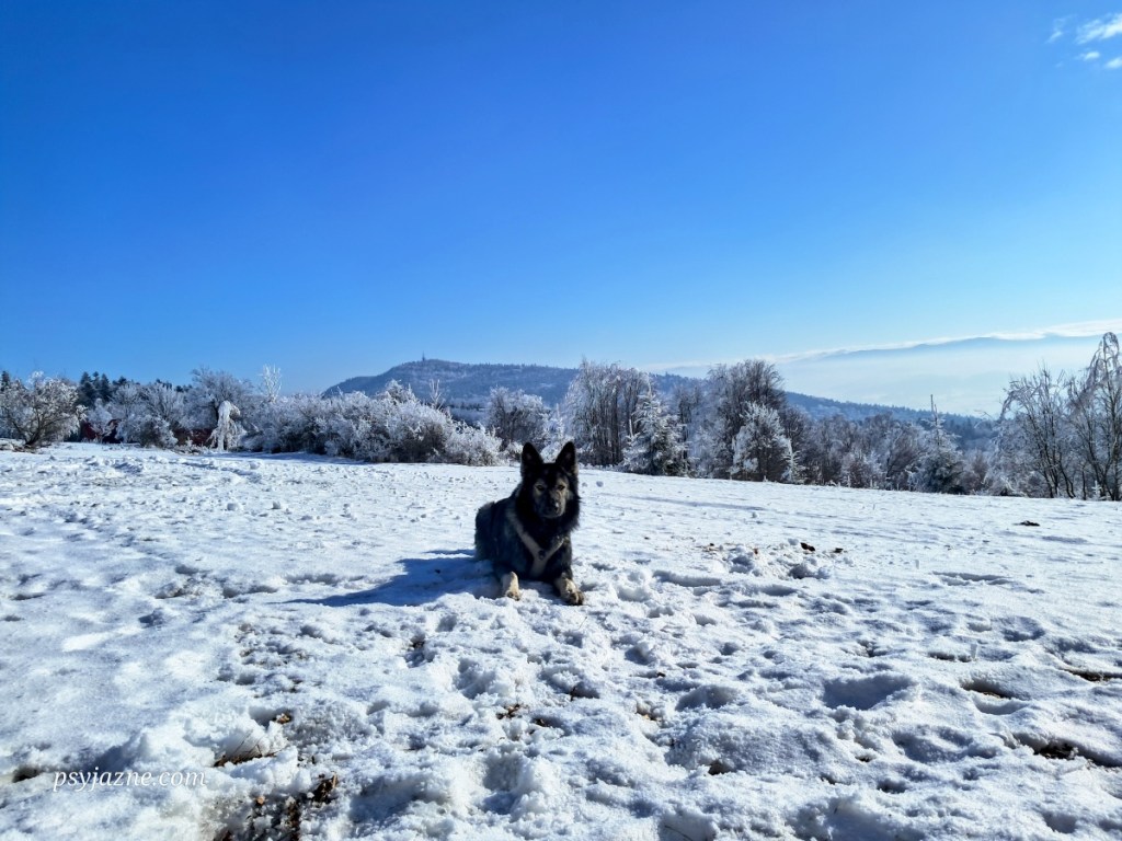 Książki, Luboń, Naprawa.