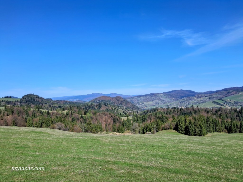 Małe Pieniny. Widok na Jarmutę, Beskid Sądecki i Gorce